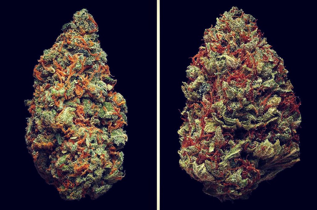 what is cbd