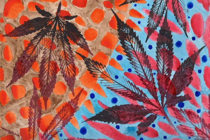 What Is CBD? A Beginner’s Guide to Hemp Wellness