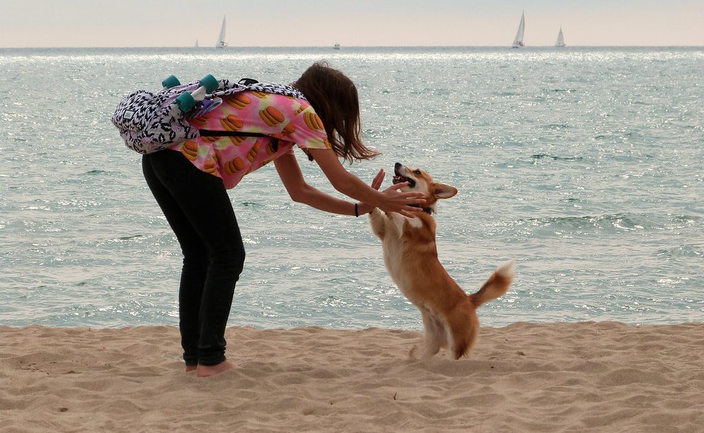ESA Pet Review 2026: Legit Online Emotional Support Animal Letters?