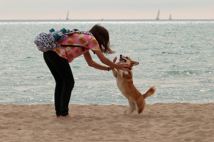 ESA Pet Review 2026: Legit Online Emotional Support Animal Letters?