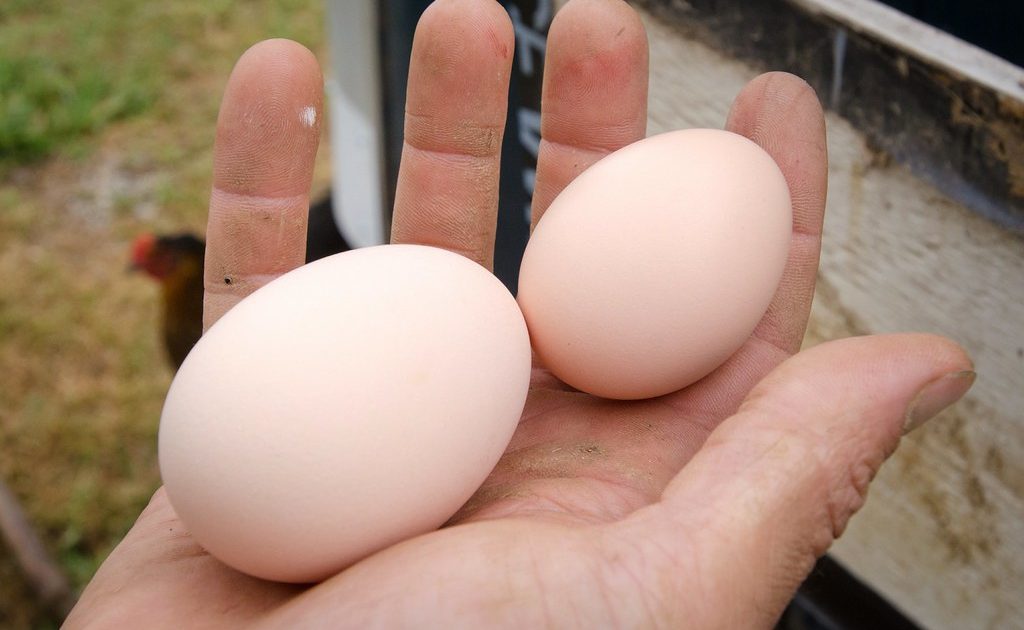 Does Protein Timing Matter for Weight Loss?