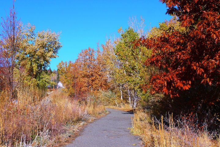 Walking for Weight Loss: The Most Underrated Fat-Loss Tool