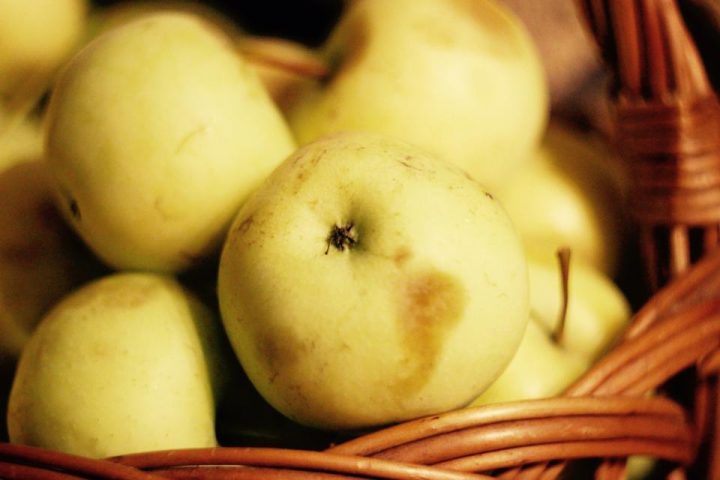 Apple Cider Vinegar for Weight Loss: The Evidence, Honestly