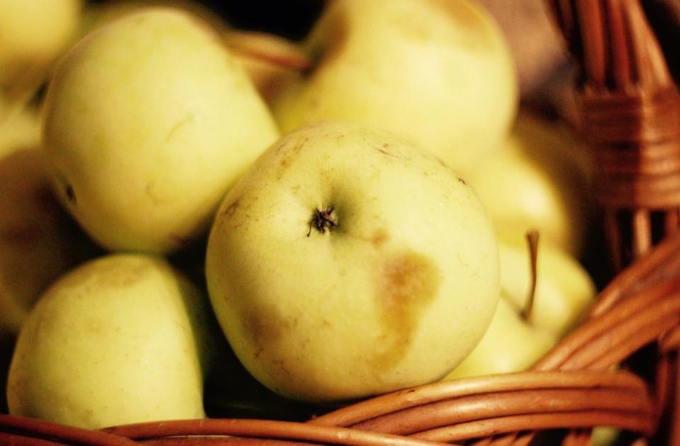 Apple Cider Vinegar for Weight Loss: The Evidence, Honestly