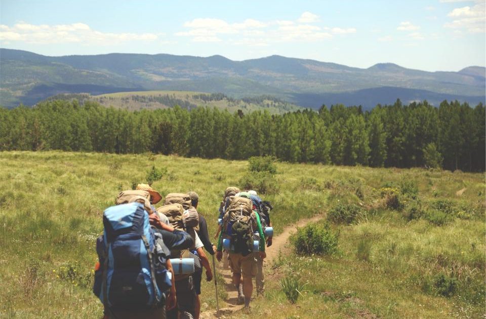 Group Coaching vs 1-on-1: Which Weight-Loss Support Actually Works