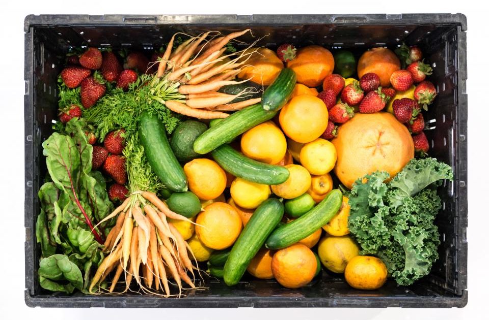 Insulin Resistance: Early Warning Signs and Practical Diet Strategies