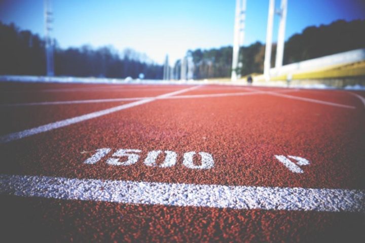 Muscle Fiber Types Explained: Why Your Training Should Match Your Goals