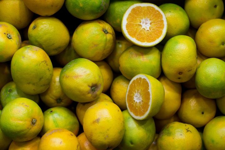 Zinc and Immune Health: What the Evidence Actually Shows