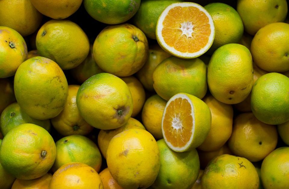 Zinc and Immune Health: What the Evidence Actually Shows
