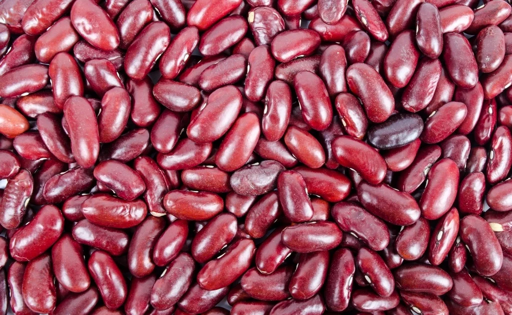 Fiber Supplements vs Whole Foods: Psyllium, Inulin, and When to Use Them