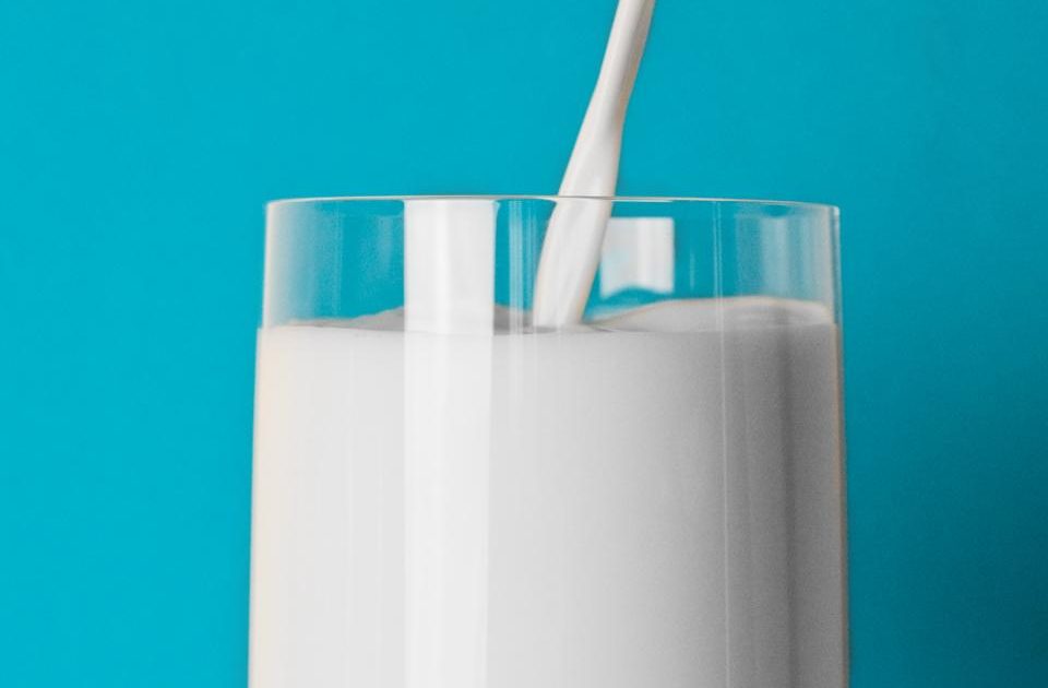 Casein vs Whey While Cutting: Does the Protein Type Matter?