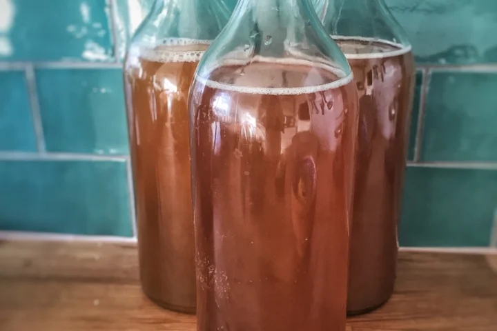 Kombucha and Gut Health: Probiotics, Sugar Content, and What It Really Does