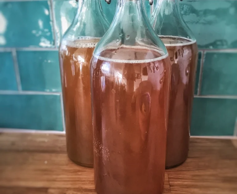 Kombucha and Gut Health: Probiotics, Sugar Content, and What It Really Does