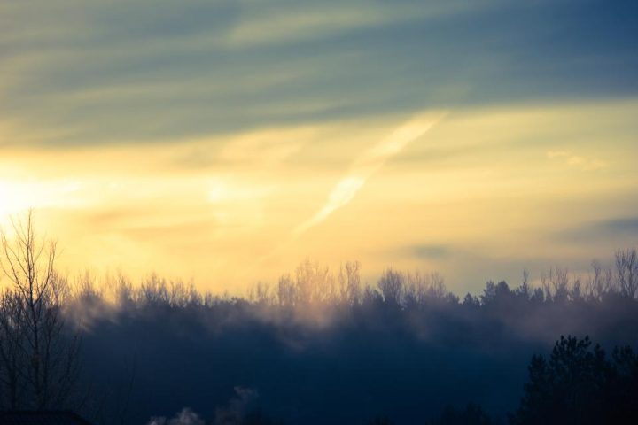 The Science of Forgiveness: How Letting Go Affects Stress and Long-Term Health