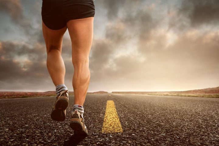 Zone 2 Cardio: The Unglamorous Training That Builds Your Engine