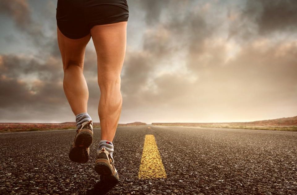 Zone 2 Cardio: The Unglamorous Training That Builds Your Engine